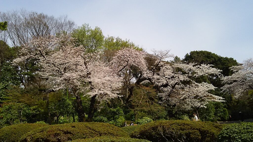 画像に alt 属性が指定されていません。ファイル名: DSC_1473-1024x576.jpg