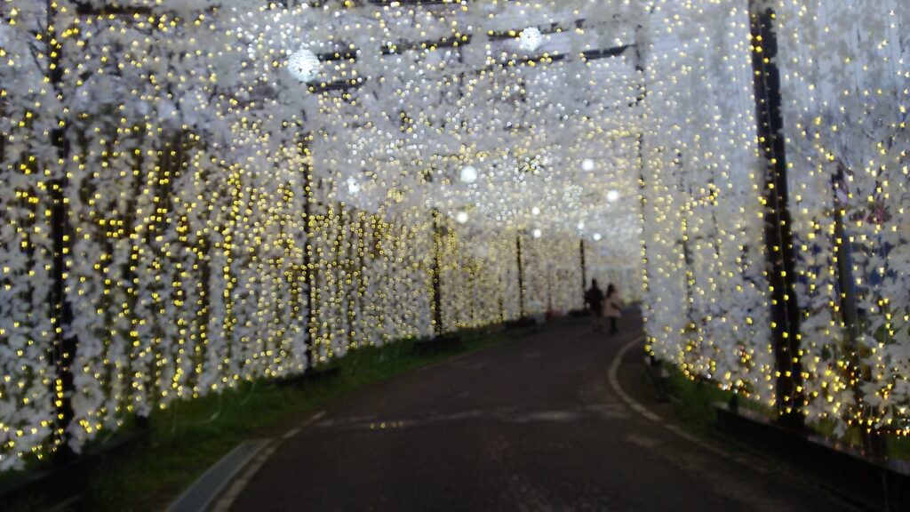 画像に alt 属性が指定されていません。ファイル名: DSC_1478-1024x576.jpg