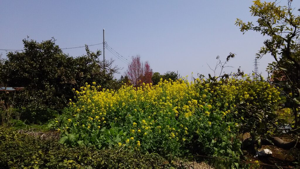 画像に alt 属性が指定されていません。ファイル名: DSC_3343-1024x576.jpg