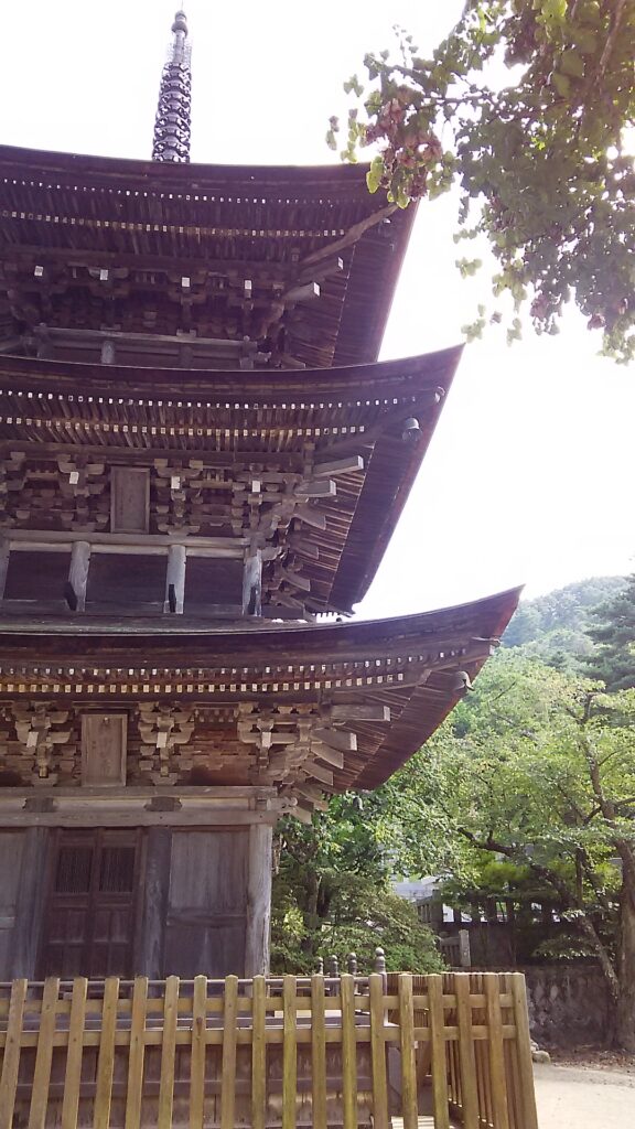 画像に alt 属性が指定されていません。ファイル名: DSC_1674-576x1024.jpg