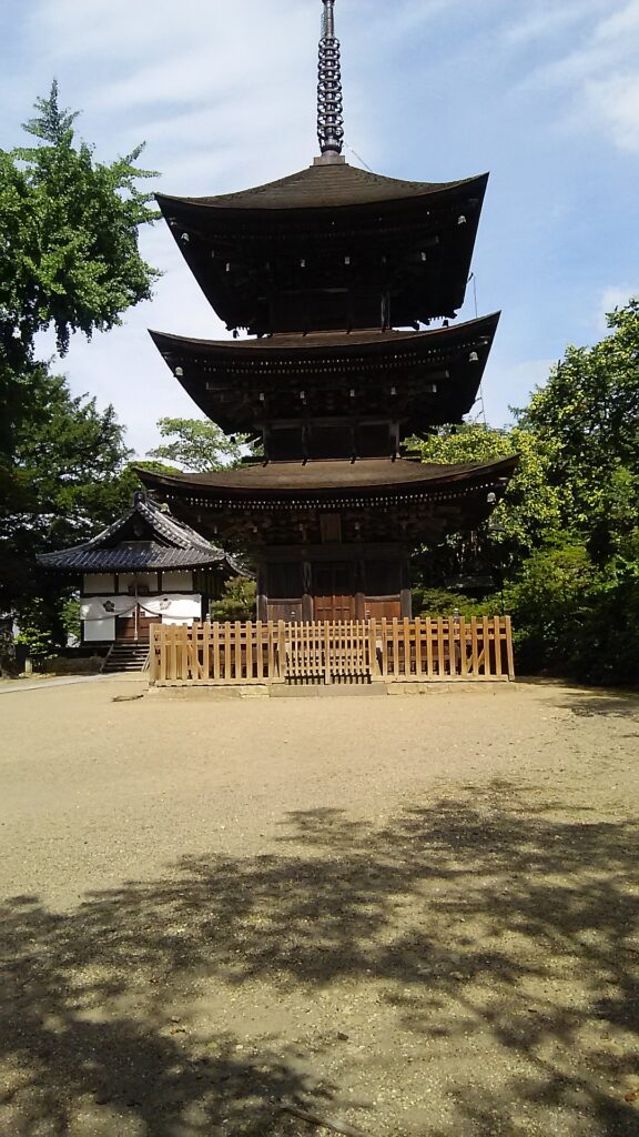 画像に alt 属性が指定されていません。ファイル名: DSC_1676-576x1024.jpg