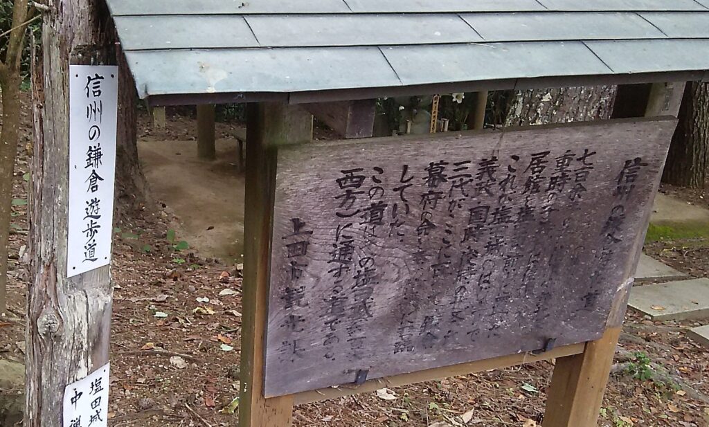 画像に alt 属性が指定されていません。ファイル名: DSC_1682-1024x617.jpg