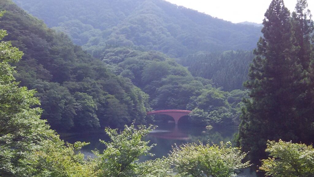 画像に alt 属性が指定されていません。ファイル名: DSC_1725-1024x576.jpg