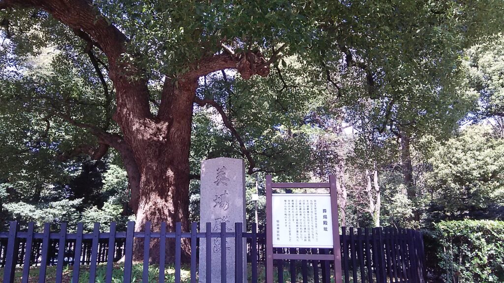 画像に alt 属性が指定されていません。ファイル名: DSC_2427-1024x576.jpg