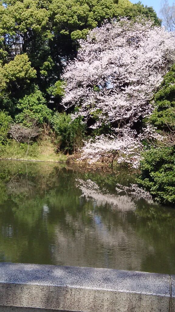 画像に alt 属性が指定されていません。ファイル名: DSC_2440-576x1024.jpg