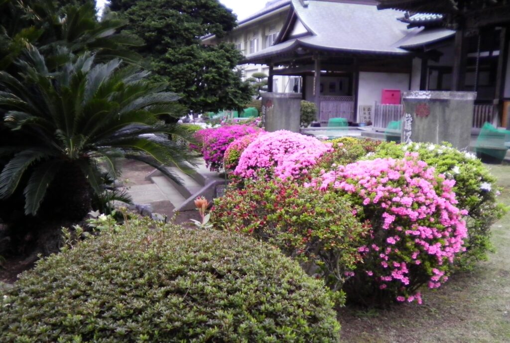画像に alt 属性が指定されていません。ファイル名: SANY0296-2-1024x689.jpg