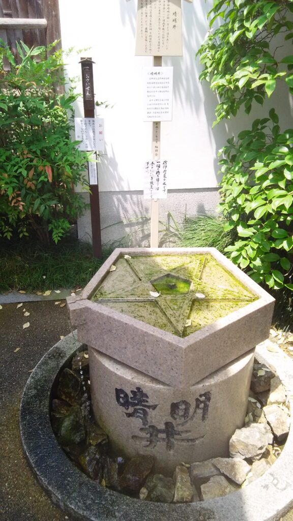 画像に alt 属性が指定されていません。ファイル名: DSC_0046-576x1024.jpg