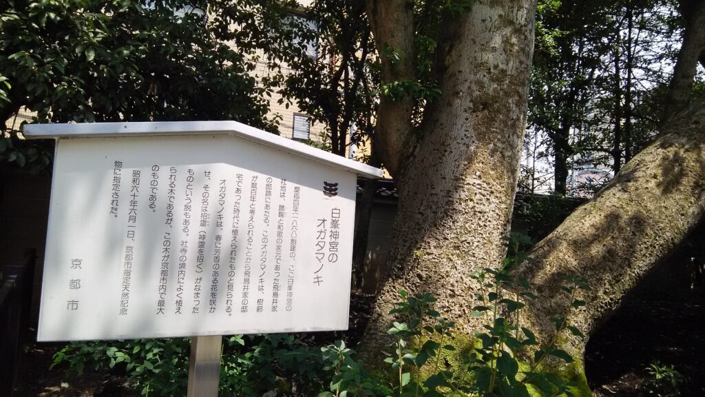 画像に alt 属性が指定されていません。ファイル名: DSC_0054-1024x576.jpg