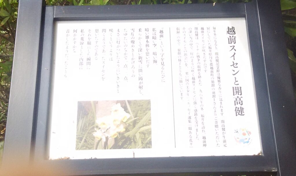 画像に alt 属性が指定されていません。ファイル名: DSC_0403-1024x608.jpg