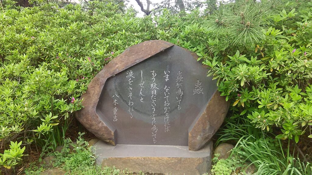 画像に alt 属性が指定されていません。ファイル名: DSC_0433-1024x576.jpg