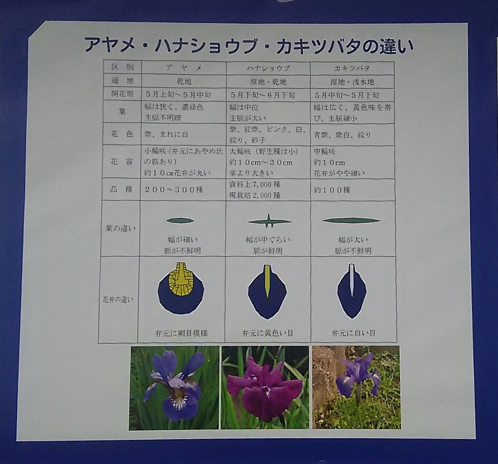 画像に alt 属性が指定されていません。ファイル名: DSC_0668.jpg