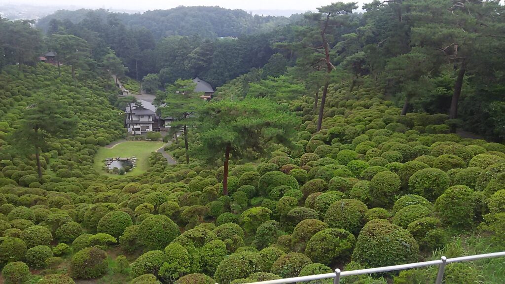 画像に alt 属性が指定されていません。ファイル名: DSC_0681-1024x576.jpg