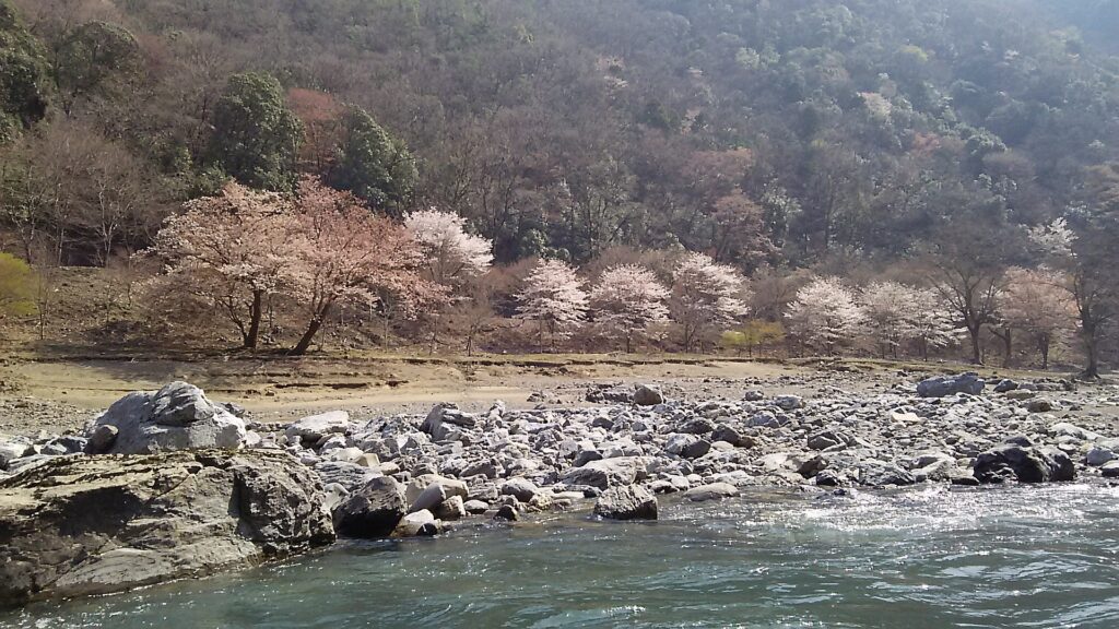 画像に alt 属性が指定されていません。ファイル名: DSC_2478-1024x576.jpg
