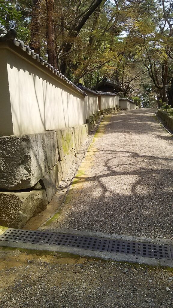 画像に alt 属性が指定されていません。ファイル名: DSC_2482-576x1024.jpg
