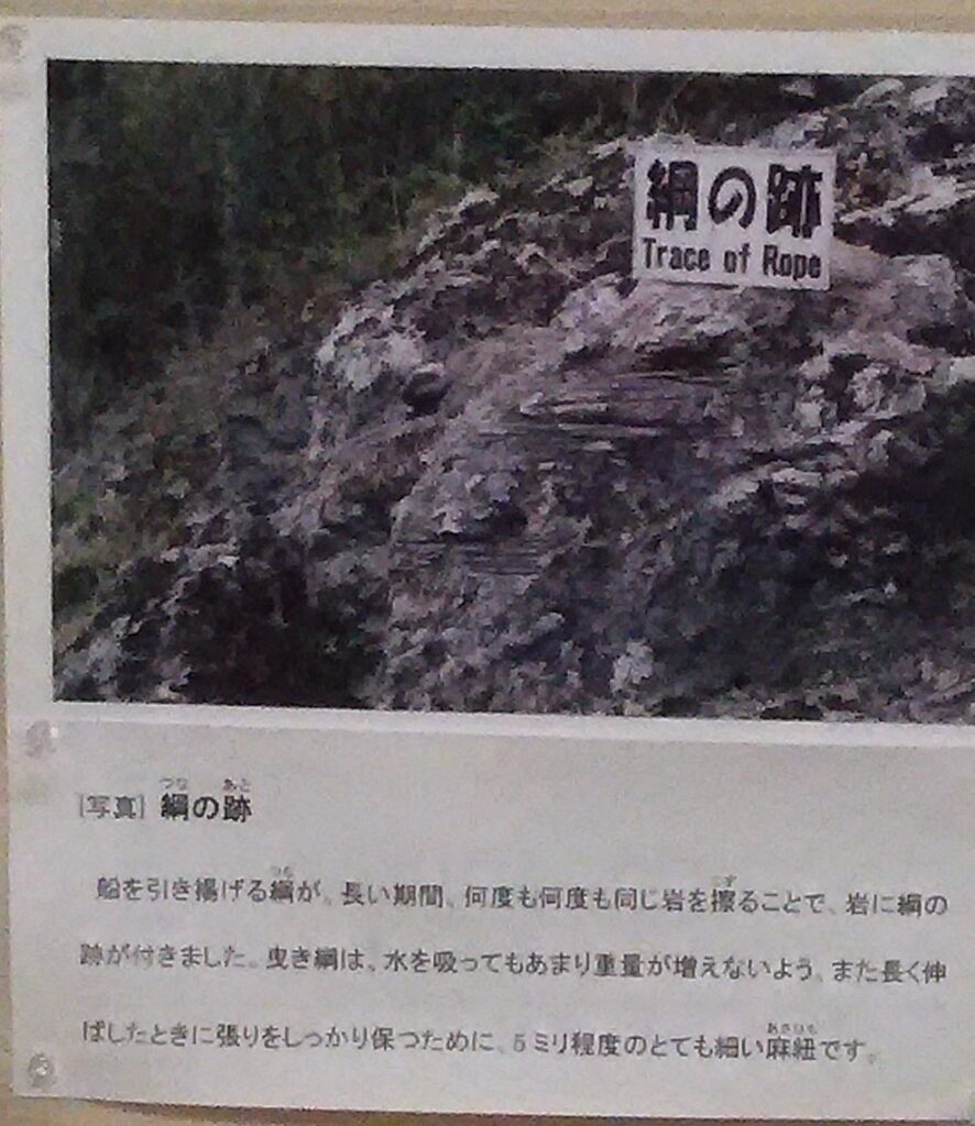 画像に alt 属性が指定されていません。ファイル名: DSC_2499-886x1024.jpg