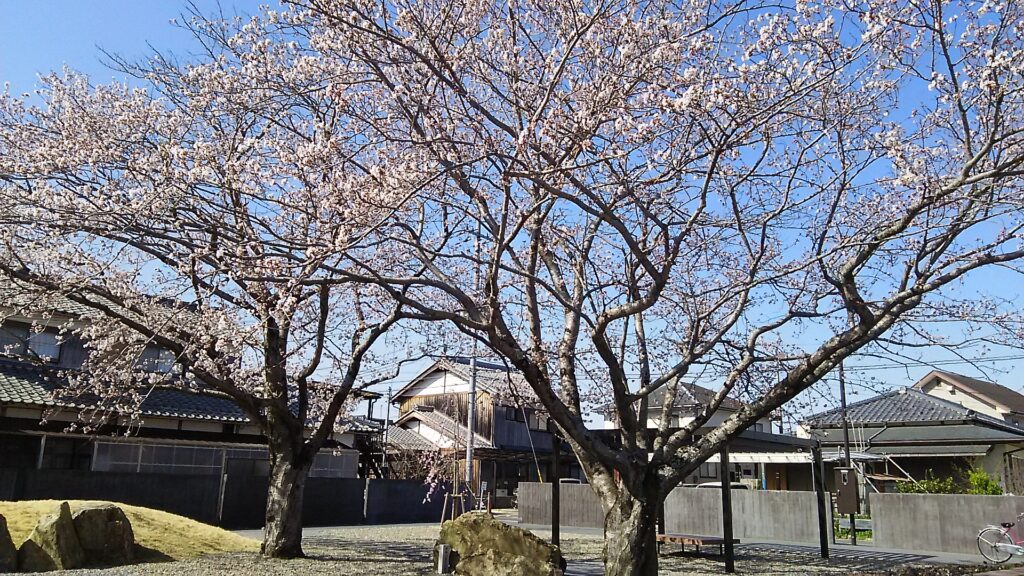 画像に alt 属性が指定されていません。ファイル名: DSC_2506-1024x576.jpg