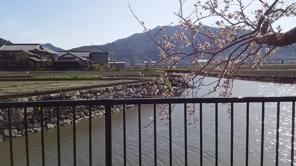 画像に alt 属性が指定されていません。ファイル名: DSC_2508-1024x576.jpg