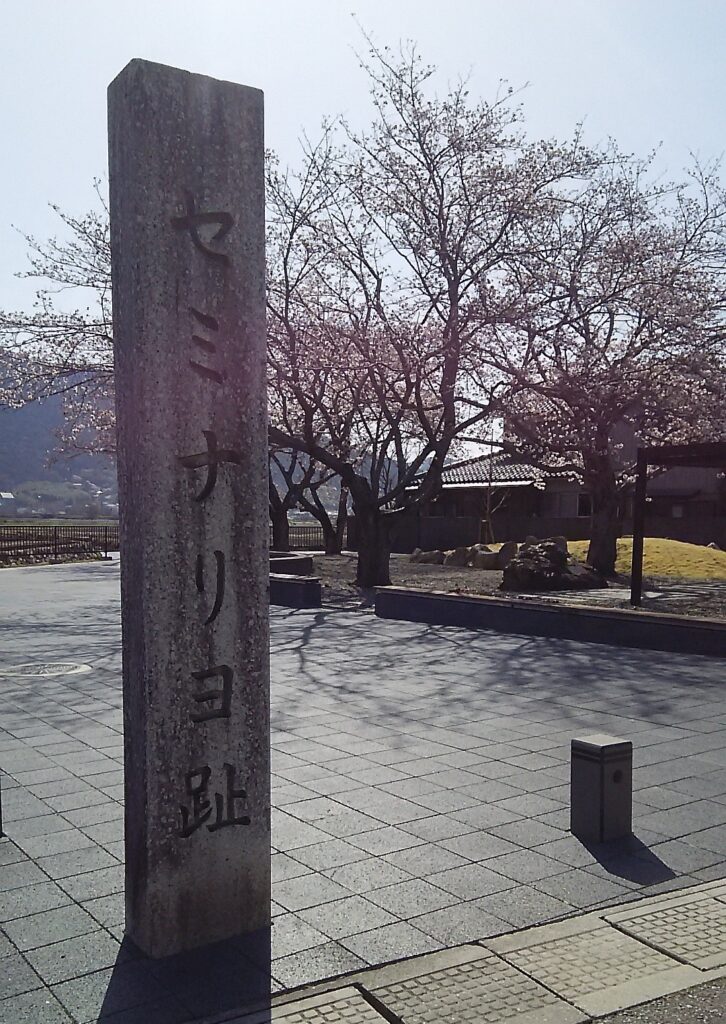 画像に alt 属性が指定されていません。ファイル名: DSC_2509-726x1024.jpg