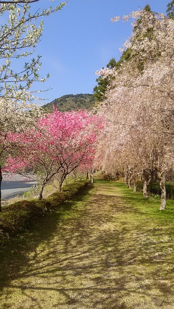 画像に alt 属性が指定されていません。ファイル名: DSC_2643-576x1024.jpg