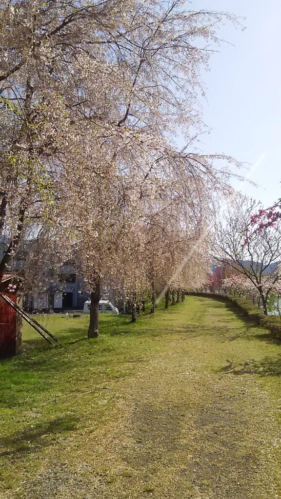 画像に alt 属性が指定されていません。ファイル名: DSC_2644-576x1024.jpg