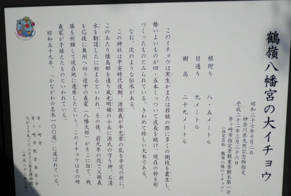 画像に alt 属性が指定されていません。ファイル名: SANY0307-2-1024x690.jpg