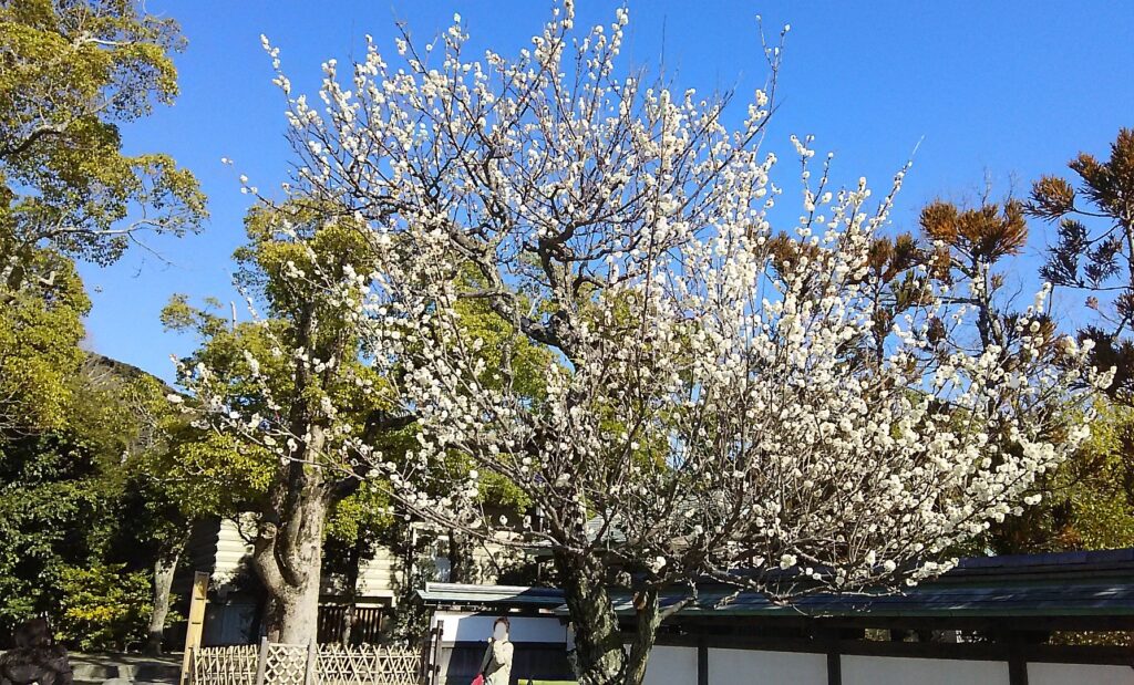 画像に alt 属性が指定されていません。ファイル名: DSC_0689-1024x619.jpg
