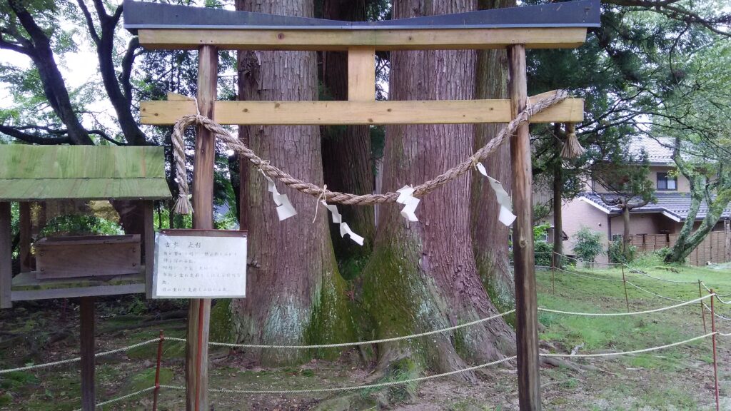 画像に alt 属性が指定されていません。ファイル名: DSC_2872-1024x576.jpg