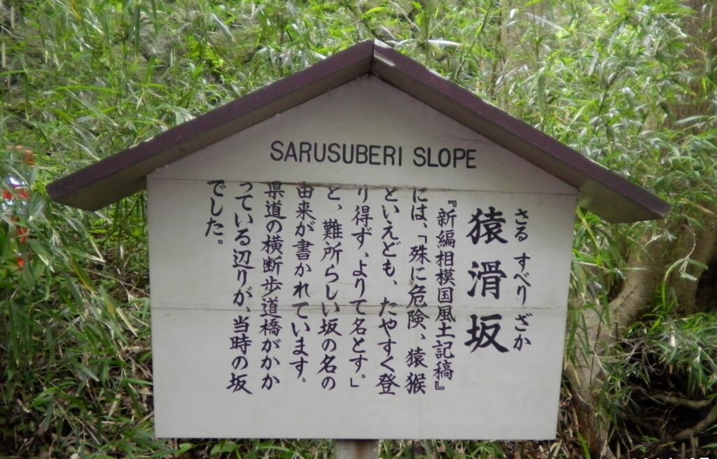 画像に alt 属性が指定されていません。ファイル名: SANY0224-1024x656.jpg
