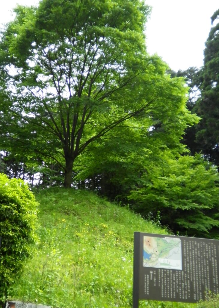 画像に alt 属性が指定されていません。ファイル名: SANY0230-731x1024.jpg