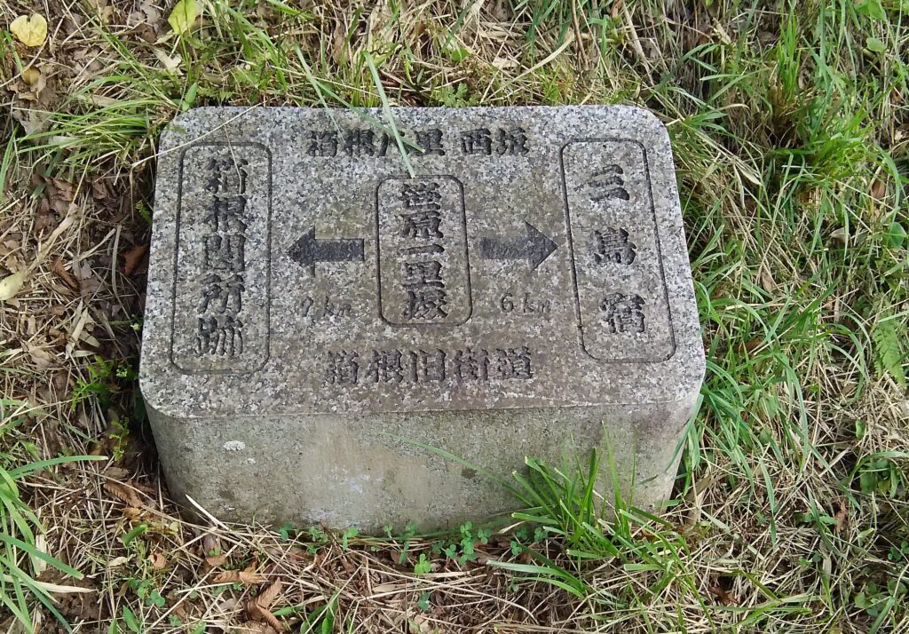 画像に alt 属性が指定されていません。ファイル名: DSC_0118-1024x714.jpg