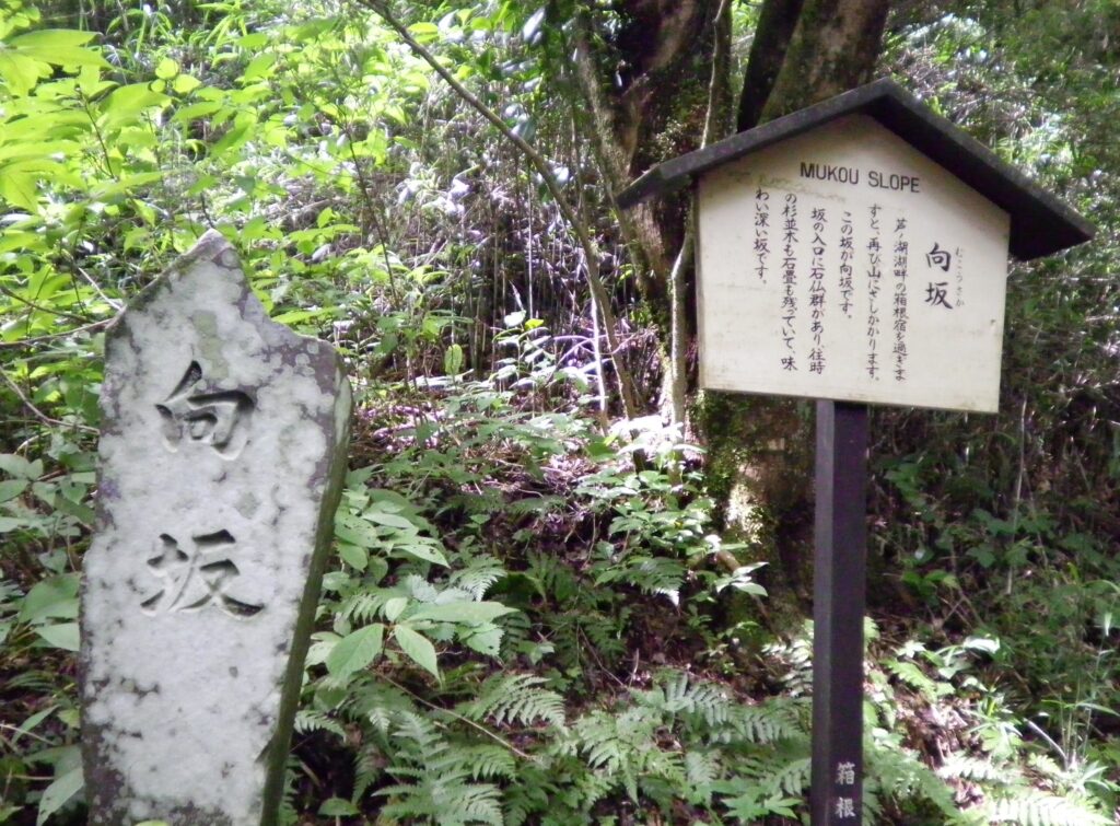 画像に alt 属性が指定されていません。ファイル名: SANY0062-1024x755.jpg