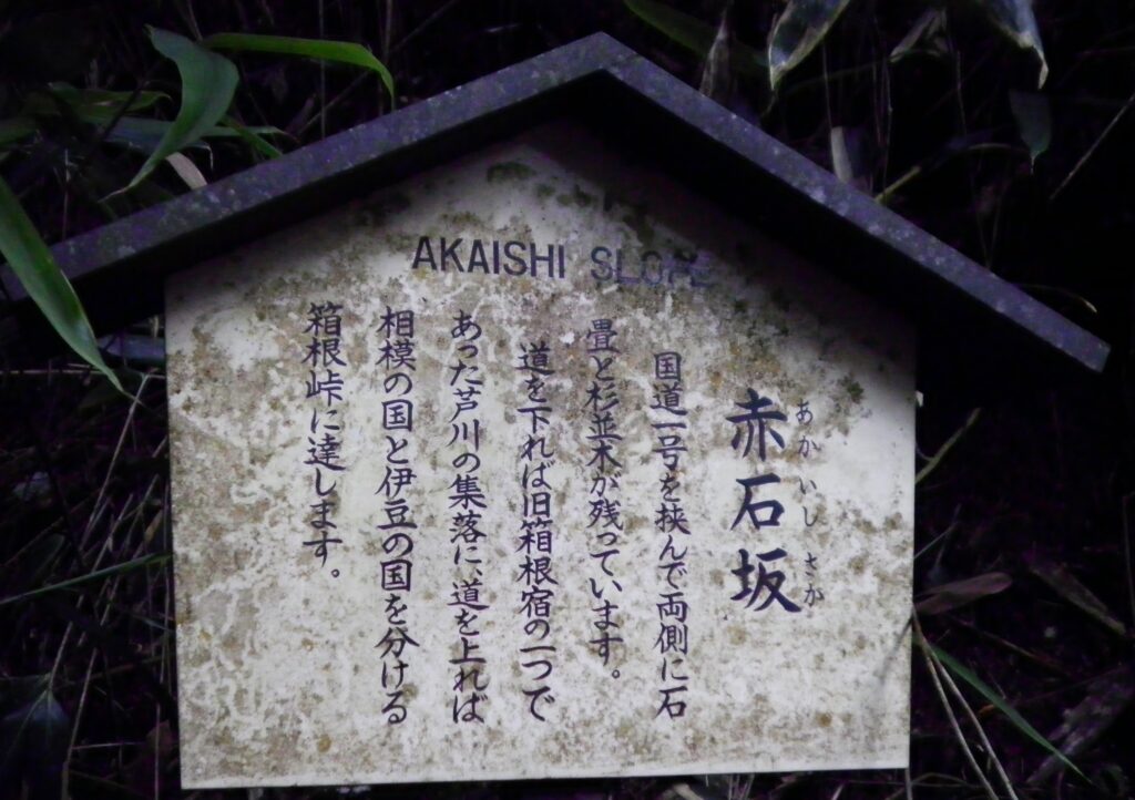 画像に alt 属性が指定されていません。ファイル名: SANY0064-1-1024x722.jpg