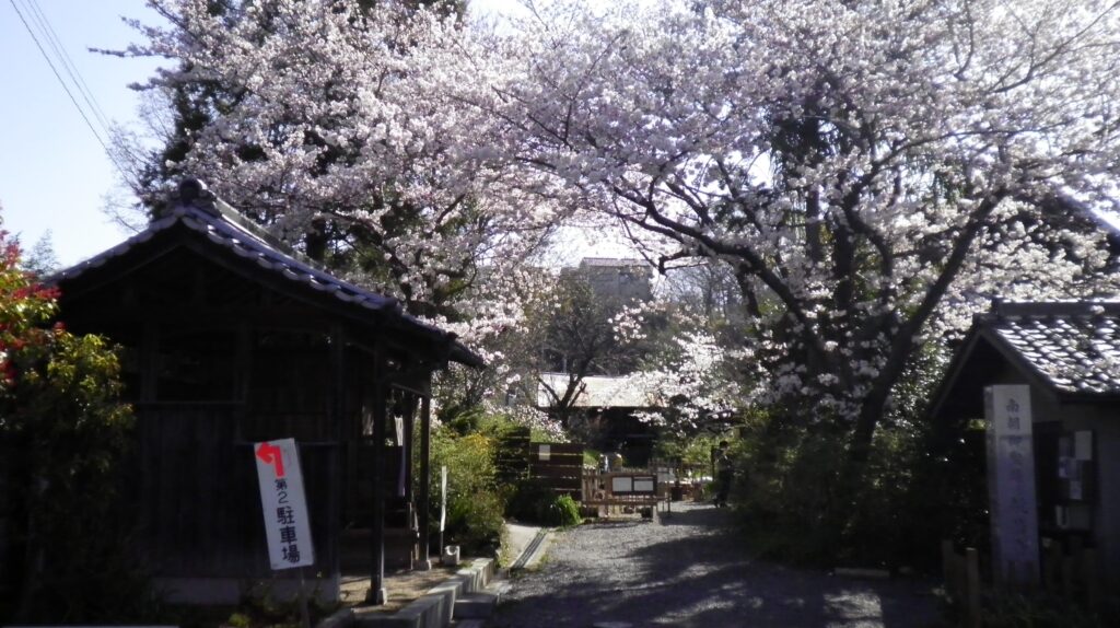 画像に alt 属性が指定されていません。ファイル名: SANY0258-2-1024x574.jpg
