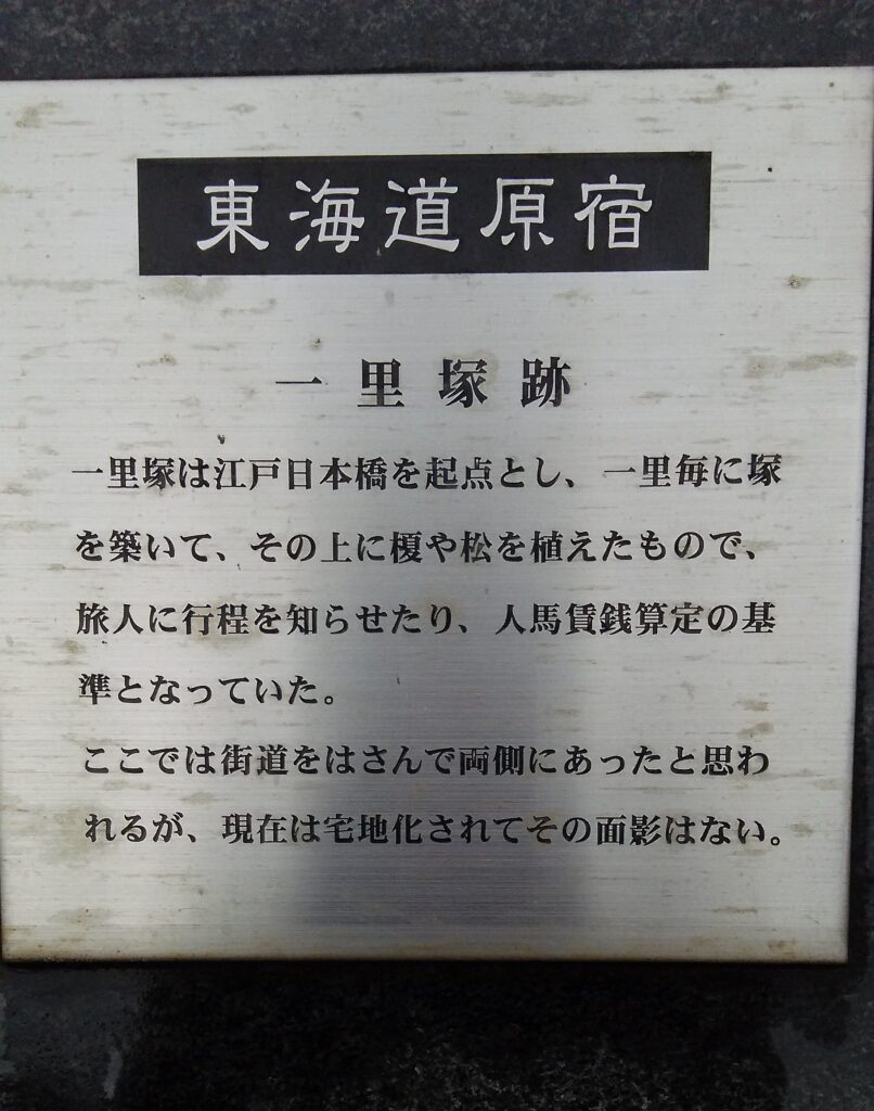 画像に alt 属性が指定されていません。ファイル名: DSC_0089-1-806x1024.jpg