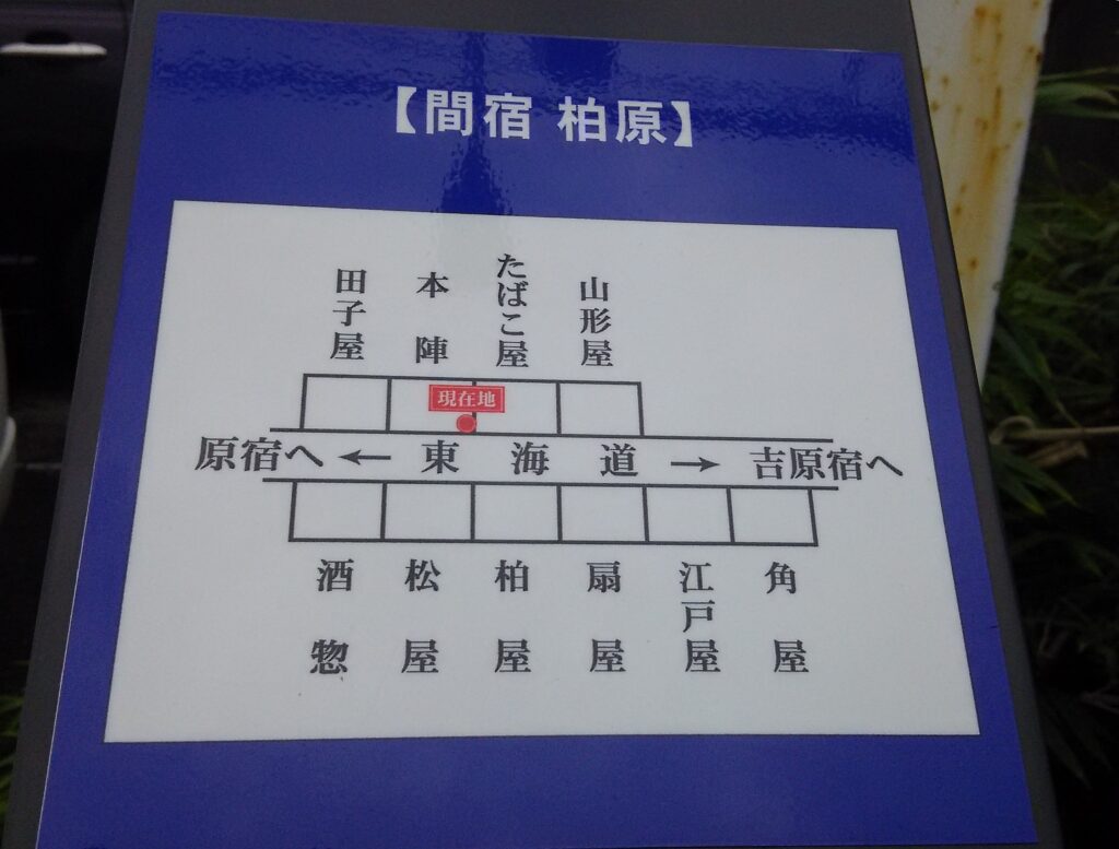 画像に alt 属性が指定されていません。ファイル名: DSC_0095-1-1024x777.jpg