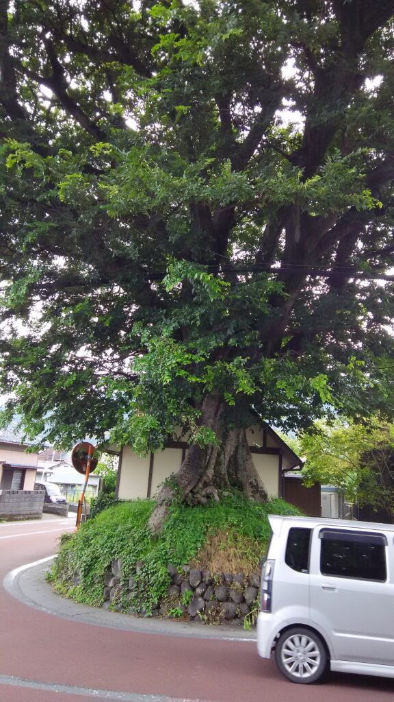 画像に alt 属性が指定されていません。ファイル名: DSC_0155-576x1024.jpg