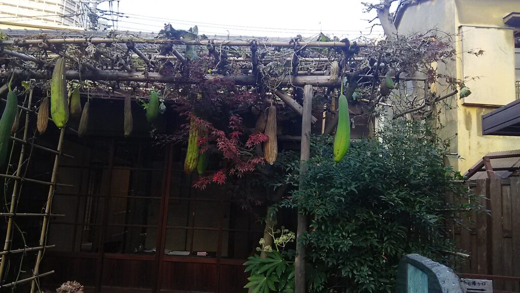 画像に alt 属性が指定されていません。ファイル名: DSC_0434-1024x576.jpg