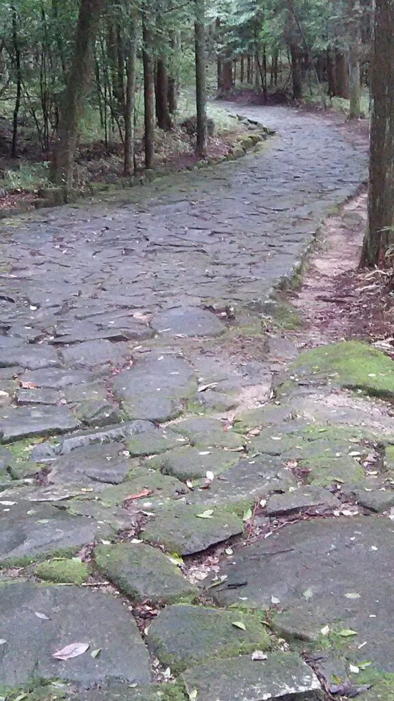 画像に alt 属性が指定されていません。ファイル名: DSC_0860-576x1024.jpg