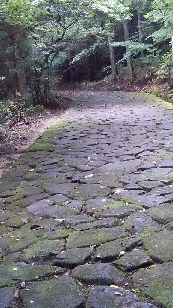 画像に alt 属性が指定されていません。ファイル名: DSC_0861-576x1024.jpg