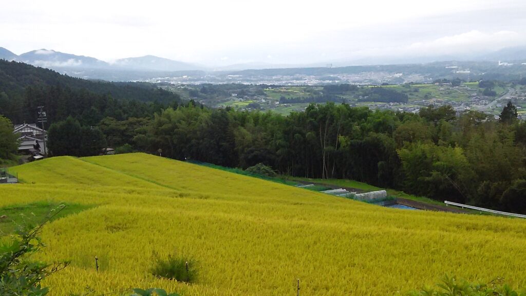 画像に alt 属性が指定されていません。ファイル名: DSC_0880-1024x576.jpg