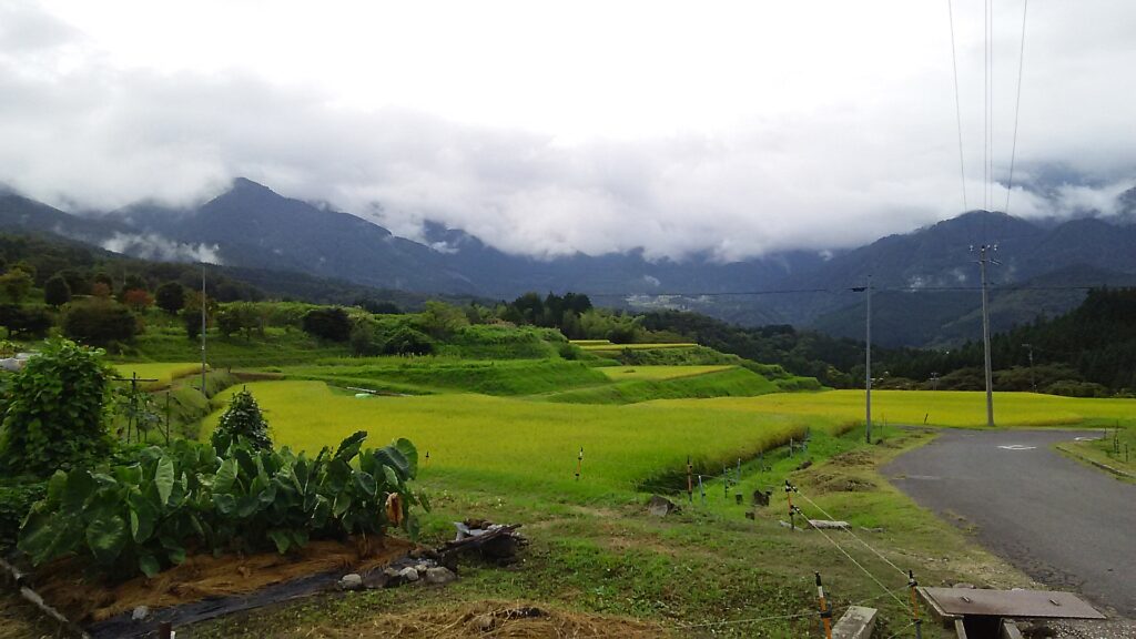 画像に alt 属性が指定されていません。ファイル名: DSC_0886-1024x576.jpg