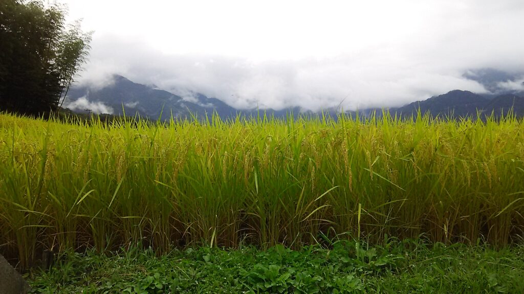 画像に alt 属性が指定されていません。ファイル名: DSC_0887-1024x576.jpg