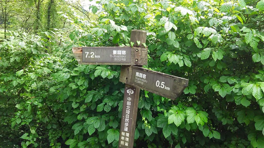 画像に alt 属性が指定されていません。ファイル名: DSC_0934-1024x576.jpg