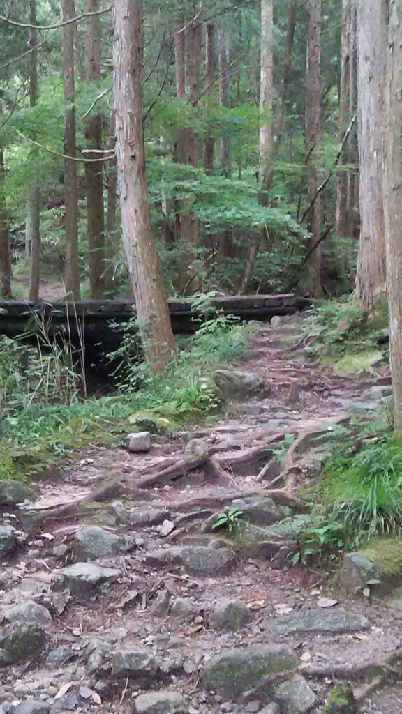 画像に alt 属性が指定されていません。ファイル名: DSC_0945-576x1024.jpg