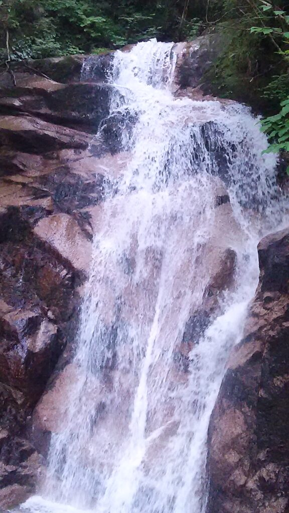 画像に alt 属性が指定されていません。ファイル名: DSC_0946-1-576x1024.jpg