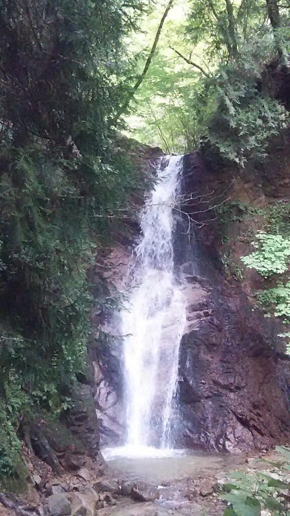 画像に alt 属性が指定されていません。ファイル名: DSC_0950-1-576x1024.jpg