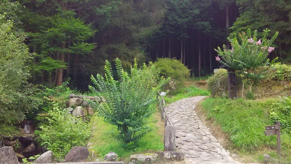 画像に alt 属性が指定されていません。ファイル名: DSC_0955-1024x576.jpg