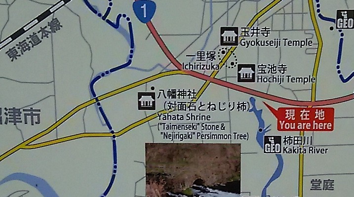 画像に alt 属性が指定されていません。ファイル名: DSC_1634.jpg