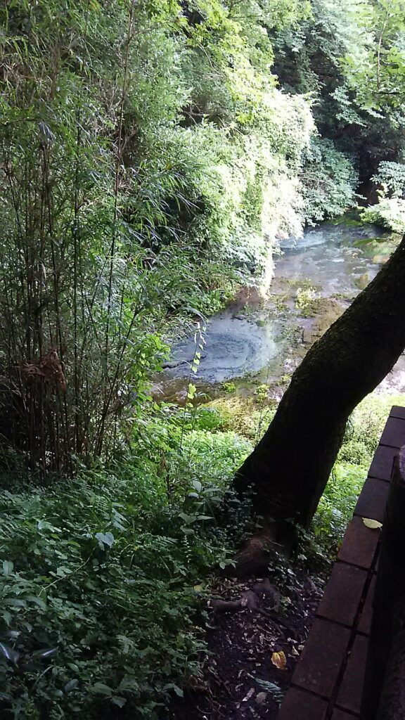 画像に alt 属性が指定されていません。ファイル名: DSC_1635-576x1024.jpg