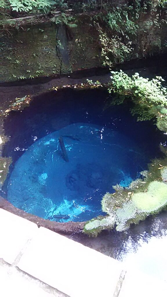 画像に alt 属性が指定されていません。ファイル名: DSC_1636-576x1024.jpg